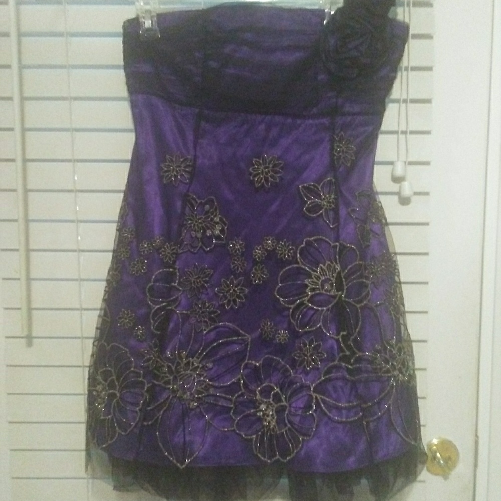 Purple Homecoming/Prom dress